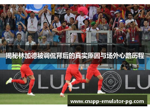 揭秘林加德被调侃背后的真实原因与场外心路历程