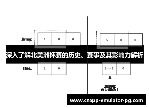 深入了解北美洲杯赛的历史、赛事及其影响力解析