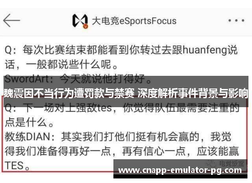 魏震因不当行为遭罚款与禁赛 深度解析事件背景与影响
