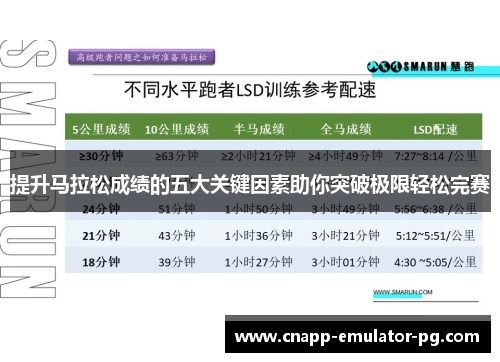 提升马拉松成绩的五大关键因素助你突破极限轻松完赛