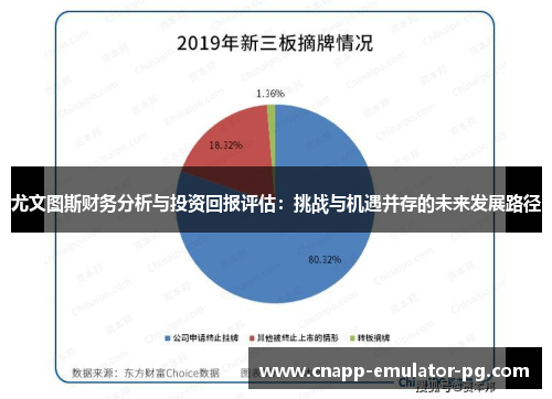 尤文图斯财务分析与投资回报评估：挑战与机遇并存的未来发展路径