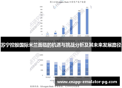 苏宁控股国际米兰面临的机遇与挑战分析及其未来发展路径 苏宁控股国际米兰面临的机遇与挑战分析及其未来发展路径