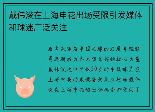 戴伟浚在上海申花出场受限引发媒体和球迷广泛关注 戴伟浚在上海申花出场受限引发媒体和球迷广泛关注