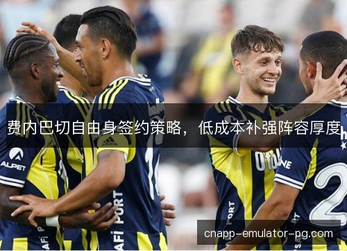 费内巴切自由身签约策略，低成本补强阵容厚度